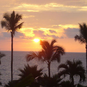 Meet your Posher, Challis